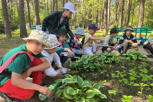 Помоги природе делом