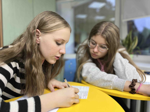 Вводное занятие «Организация игровой деятельности» Вводное занятие «Организация игровой деятельности»