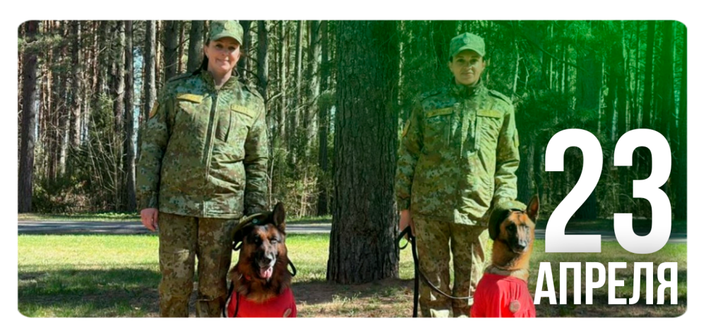 «Женский взгляд: профессии без стереотипов»