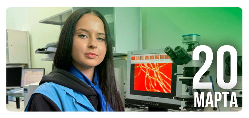 Таможенное дело как будущая профессия