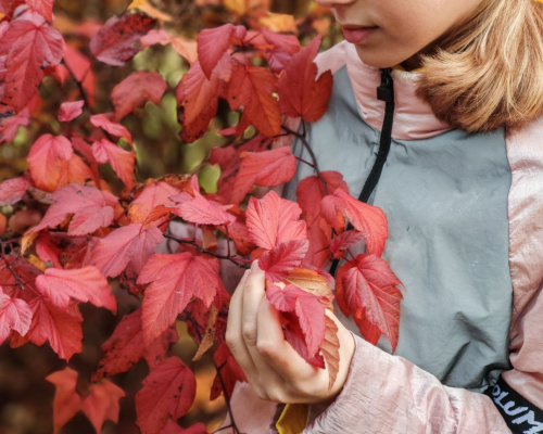 В зубрятском объективе - осень! В зубрятском объективе - осень!