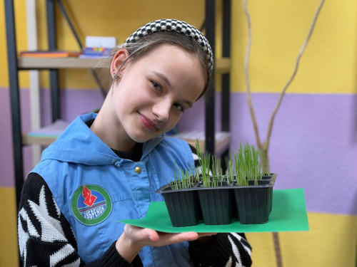 Первые ростки!