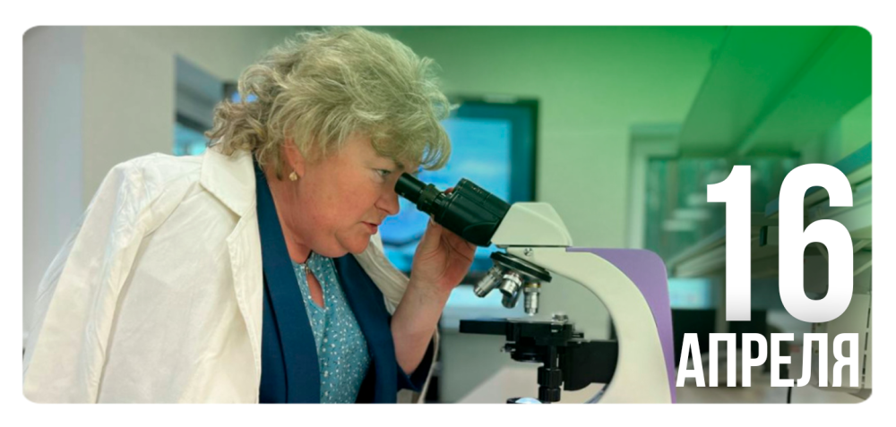 Превращать уроки в путешествия