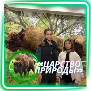 «Царство природы»