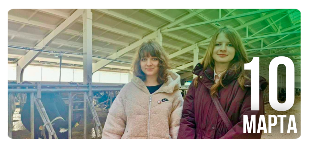 Теория из учебников на практике