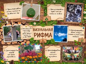 «Визуальная рифма»: притяжение природы! 