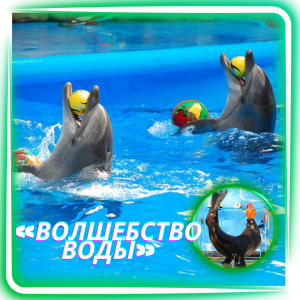 «Волшебство воды: шоу дельфинов и морского льва»