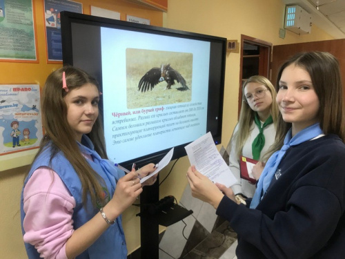 От взмаха крыльев до грома: неделя эффекта резонанса От взмаха крыльев до грома: неделя эффекта резонанса