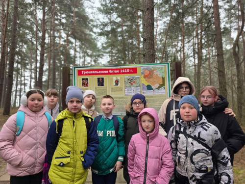 «Подвигом славны мои земляки»