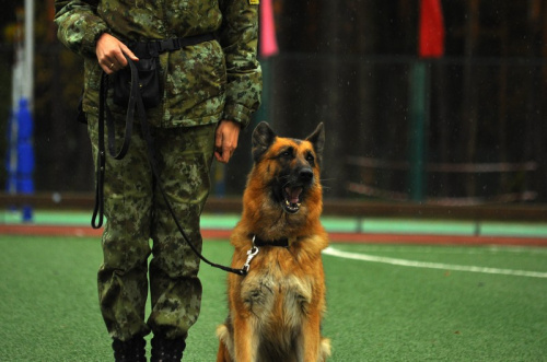 Представители маневренной группы войсковой части 2044 и кинологического центра Сморгонский пограничной группы Органов пограничной службы Республики Беларусь посетили НДЦ «Зубренок». 