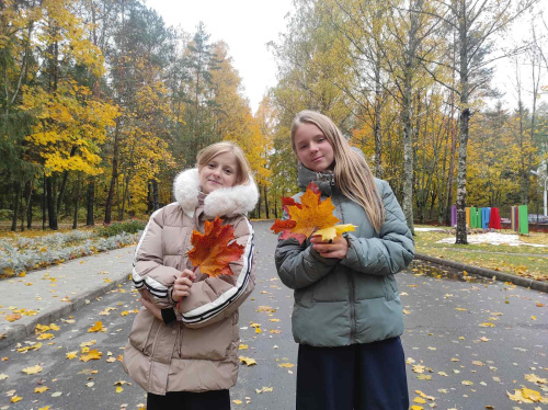 СТАРТ-ИГРА «Звёздный городок» 