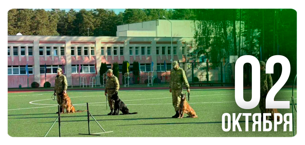 Не только «фас»