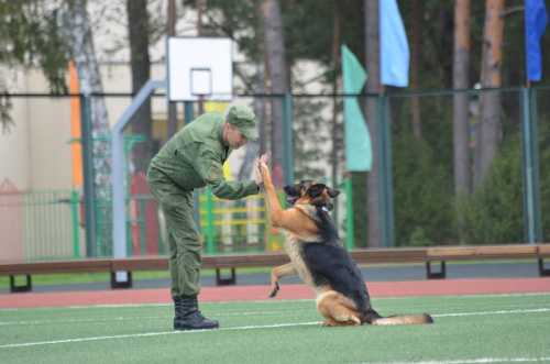 Показательные выступления и солдатская каша