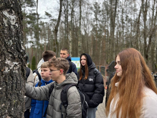 Прогулка к Березе желаний