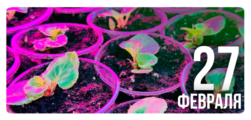 «В центре внимания – человек труда»