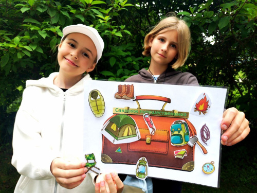 Саквояж путешественника