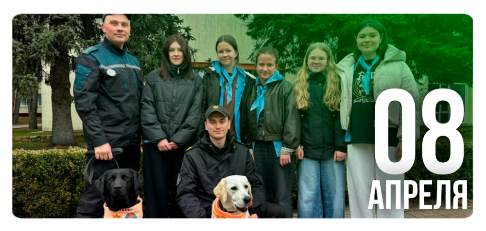 «Дай лапу, друг, и будет все в порядке»