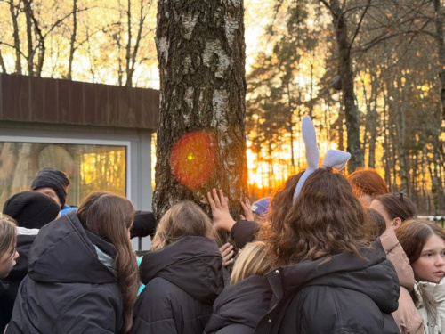 Прогулка к Березе желаний