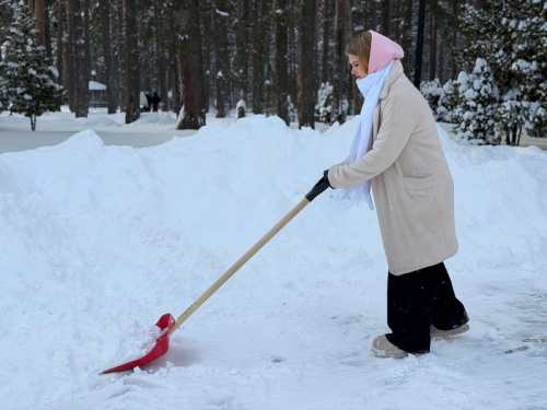 Снежный десант