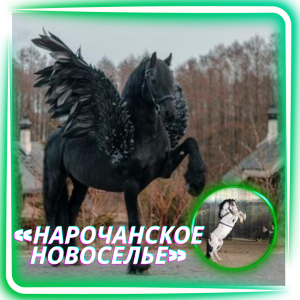 «Нарочанское новоселье»