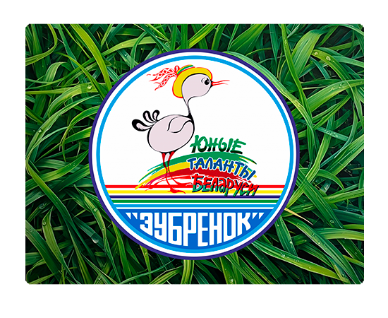 Республиканский конкурс «Юные таланты Беларуси» 
