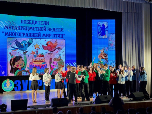 На старт, внимание… птицы!