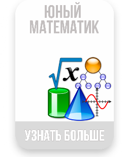 Профильный отряд «Юный математик»