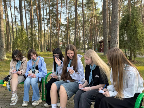 Обучающая игра «Профессиональное решение»
