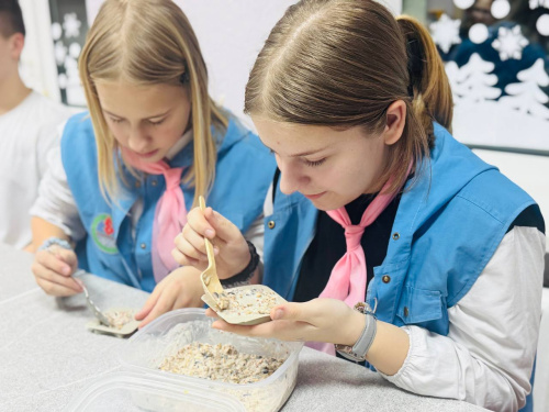 Козинаки для пернатых 