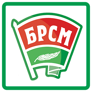 BRSM.png