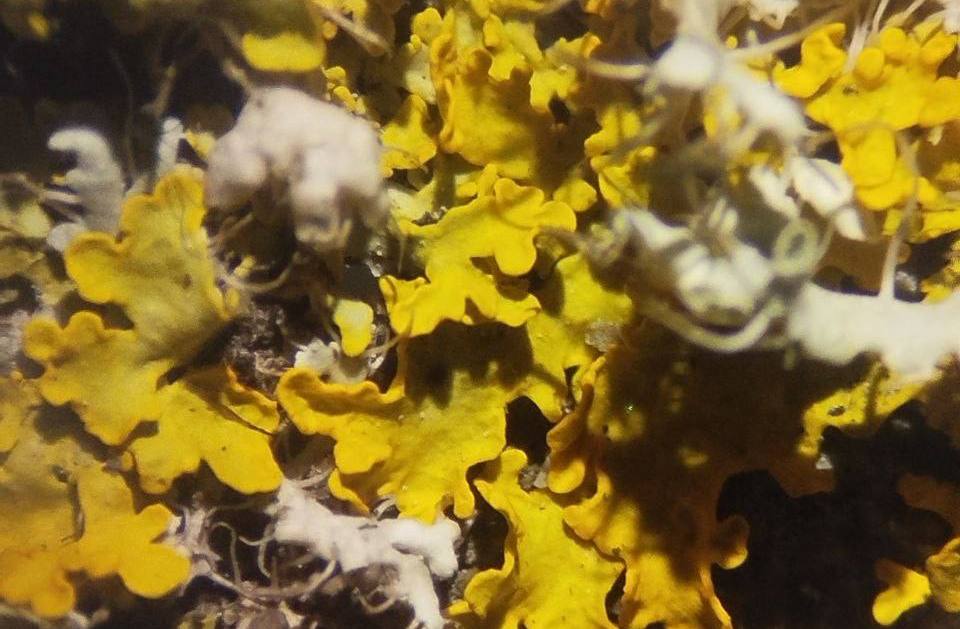 О сохранении водных ресурсов