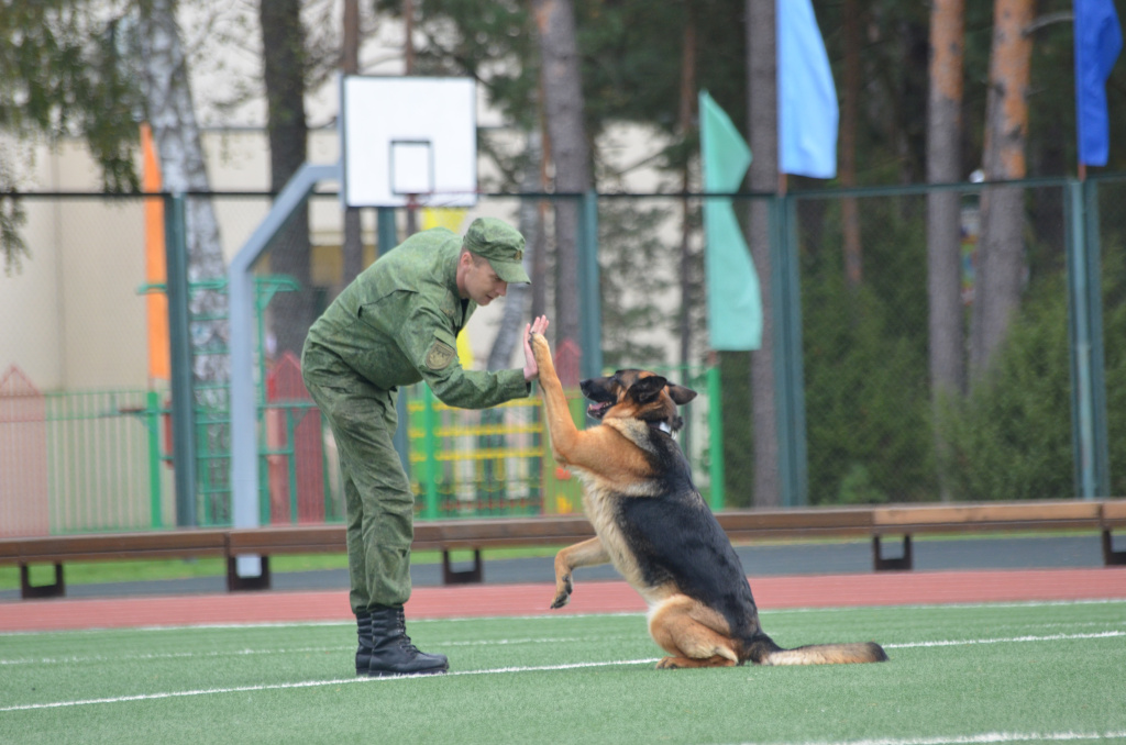 DSC_7472.JPG